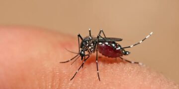 Duas mortes por Chikungunya já foram confirmadas em Teresina, diz FMS
