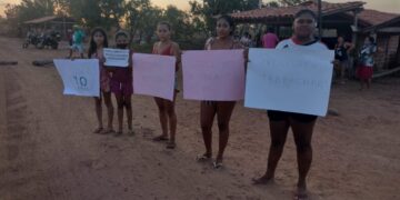 Vendedores fazem manifestação na PI-113 na localidade Tucuns em José de Freitas