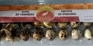 Filhotes de codorna nascem dentro de embalagem em supermercado no Piauí
