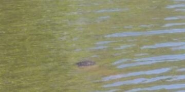 Corpo é encontrado no rio Poti na zona norte de Teresina