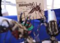 Teresina ultrapassa 13 mil casos confirmados de dengue em 2022, aponta boletim