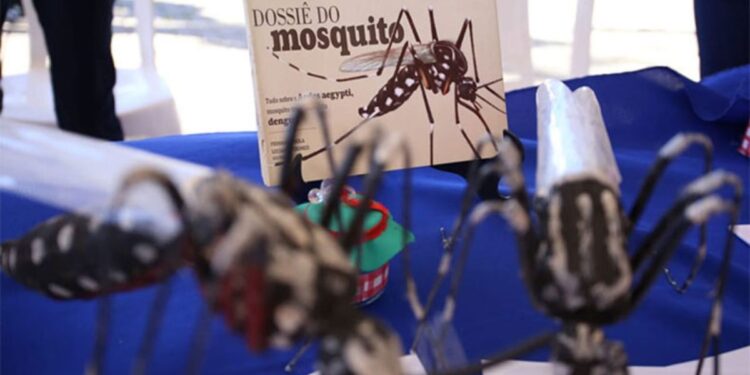 Teresina ultrapassa 13 mil casos confirmados de dengue em 2022, aponta boletim