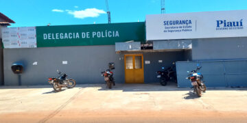 Polícia Civil prende dupla por prática de furto em José de Freitas