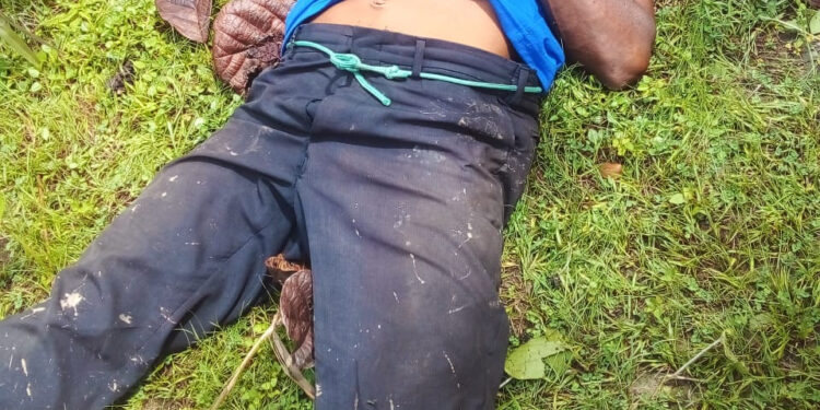 Lavrador sofre mal súbito e morre aos 63 anos na zona rural de José de Freitas