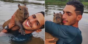 Justiça determina que capivara Filó entregue ao Ibama volte a morar com influenciador