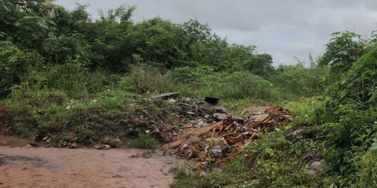 Corpo em estado de decomposição é encontrado em matagal na zona Leste de Teresina