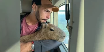 Influencer mostra momento em que se despede da capivara Filó no Amazonas