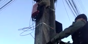 PM realiza resgate de bicho-preguiça de poste de iluminação em Teresina