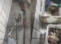 PM prende suspeito de caça ilegal e apreende 15 animais abatidos no Piauí