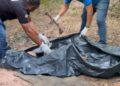 Ossada humana é encontrada na zona norte de Teresina