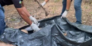 Ossada humana é encontrada na zona norte de Teresina