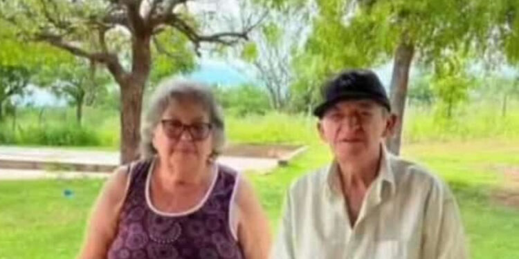 Casal de idosos morre vítima de ataque de abelhas em Jacobina-PI