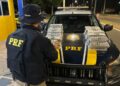 Dupla é presa com 50kg de maconha dentro de ônibus na BR 343