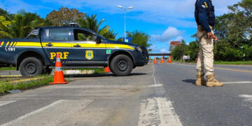 Idoso de 72 anos morre atropelado na BR-343 em Altos
