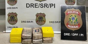 Polícia Federal prende homem com 8kg de cocaína na zona Sul de Teresina