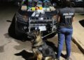 Polícia Civil desarticula centro de distribuição de drogas no interior do Piauí