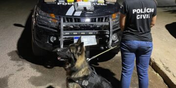 Polícia Civil desarticula centro de distribuição de drogas no interior do Piauí