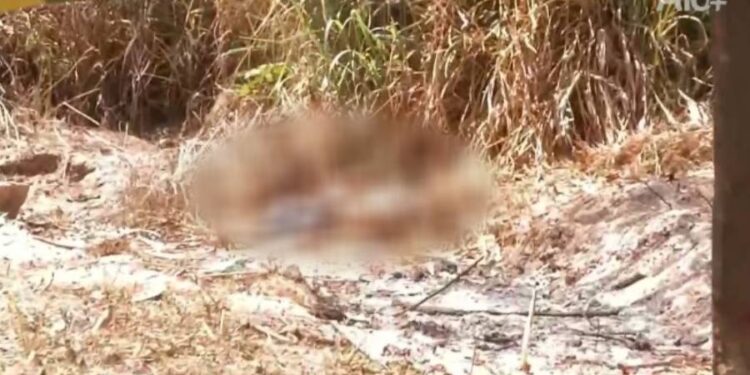 Corpo é encontrado com parte da cabeça esmagada em Teresina
