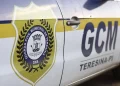 Guarda municipal é baleado na perna e tem arma roubada na BR-316 em Teresina