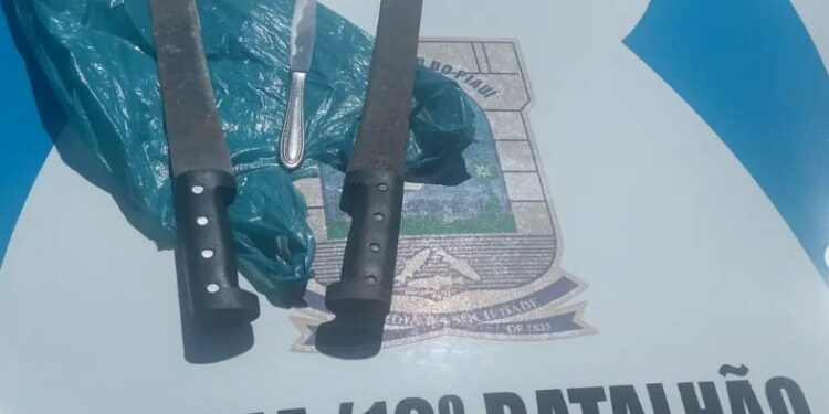 Criminoso é preso após matar cachorro com golpes de facão no Piauí