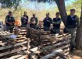 Polícia Militar desarticula campeonato de briga de galos após denúncia no interior do Piauí