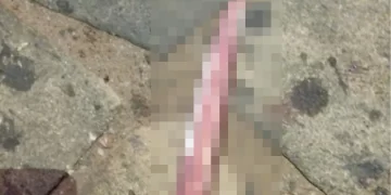 Briga entre vizinhos termina com uma pessoa morta a facadas no Piauí