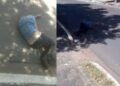 Homem é baleado na avenida principal do Promorar