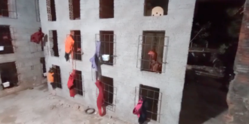 Polícia flagra ringue de rinhas de galos e apreende mais de 50 animais no estado do Piauí