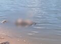 Corpo de homem é encontrado às margens do rio Poti em Teresina