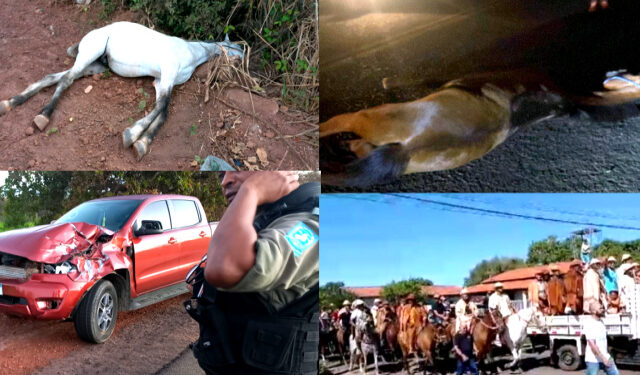 Dois cavalos morrem e três pessoas ficam feridas no dia do vaqueiro em José de Freitas