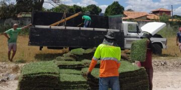 Grama do Jacozão está pronta para ser plantada no estádio em José de Freitas