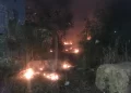 Incêndio em matagal assusta moradores e motoristas na BR 316 em Teresina