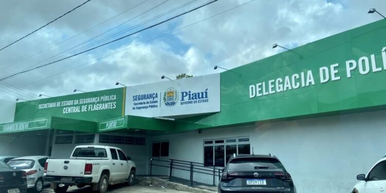 Mulher que esfaqueou cachorro é presa na zona Sudeste de Teresina