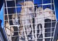 Polícia Militar resgata 9 cachorros e prende homem por maus-tratos na cidade de União