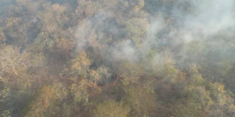 São João da Fronteira declara situação de emergência após incêndio que dura mais de sete dias
