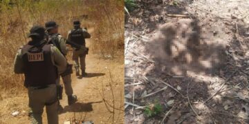 Corpo em estado de decomposição é encontrado na zona Norte de Teresina