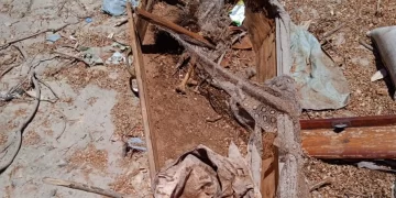 Caixão com ossada humana é abandonado em lixão no litoral do Piauí