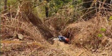 Corpo em avançado estado de decomposição é encontrado na cidade de Teresina