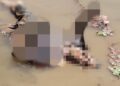Corpo de homem é encontrado boiando no Rio Parnaíba na cidade de Luzilândia
