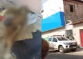 Corpo em avançado estado de decomposição é encontrado dentro de Kitnet em Teresina