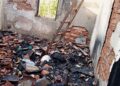 Idosa incendeia residência ao tentar matar aranha-caranguejeira no Piauí