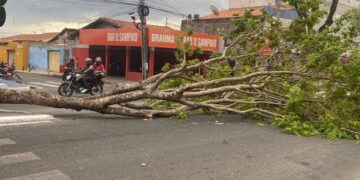Homem morre eletrocutado em cima de poste na zona sudeste de Teresina