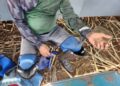 Piauienses são resgatados em situação de trabalho escravo