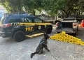 Motorista é preso com 62 kg de crack na BR 343 em Teresina