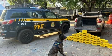 Motorista é preso com 62 kg de crack na BR 343 em Teresina