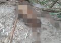 Corpo em avançado estado de decomposição é encontrado no interior do Piauí