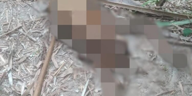 Corpo em avançado estado de decomposição é encontrado no interior do Piauí