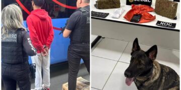 Homem é preso transportando maconha em ônibus na zona sul de Teresina