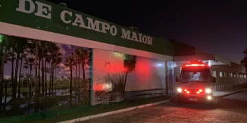 Homem é esfaqueado em briga por causa de cachorro em Campo Maior