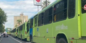 Teresina terá transporte público gratuito para aquecer o comércio no fim de ano